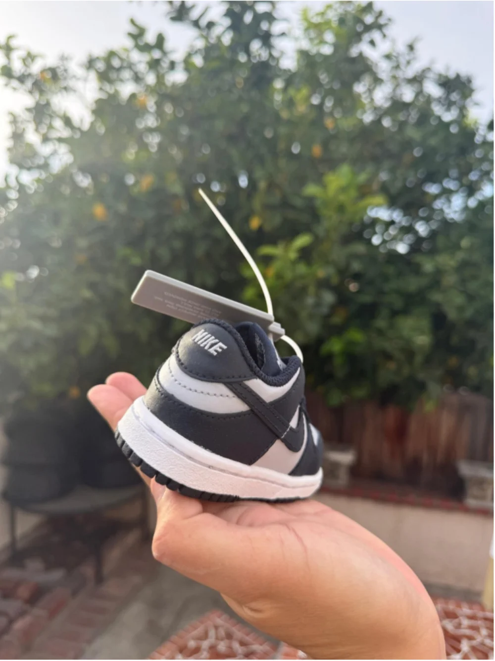 NiNike Dunk Low (TD) 